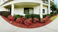 Courtyard Suwanee By Marriott Exterior foto